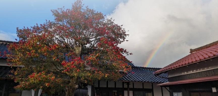 天然酵母パン ルバーブ